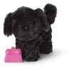 American Girl Shi-Poo Sweetie Dog For 18-inch Dolls Ages 6+