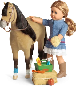 American Girl Ages 6+ Horse Care Accessories