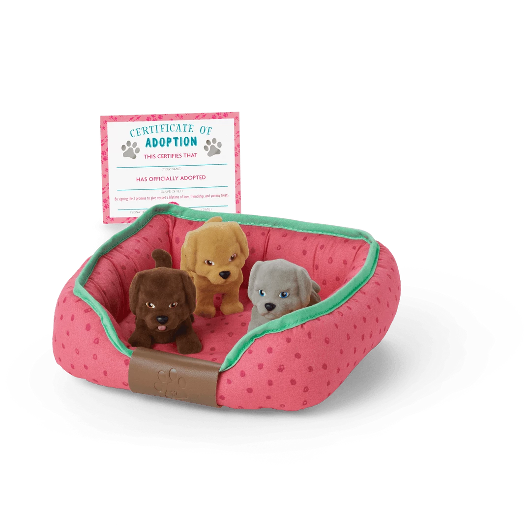 American Girl Ages 6+ Checkup Outfit & Puppies Set 8 American Girl Ages 6+ Checkup Outfit & Puppies Set