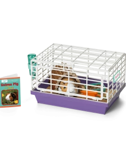 American Girl Ages 8+ Courtney's™ Guinea Pig