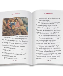 American Girl Lost And Found: Samantha Book 2