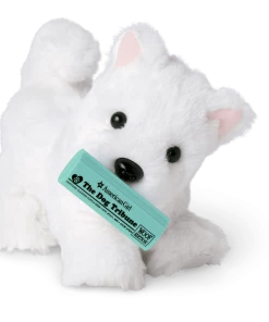 American Girl New Arrivals Coconut Chip™ Dog Bundle