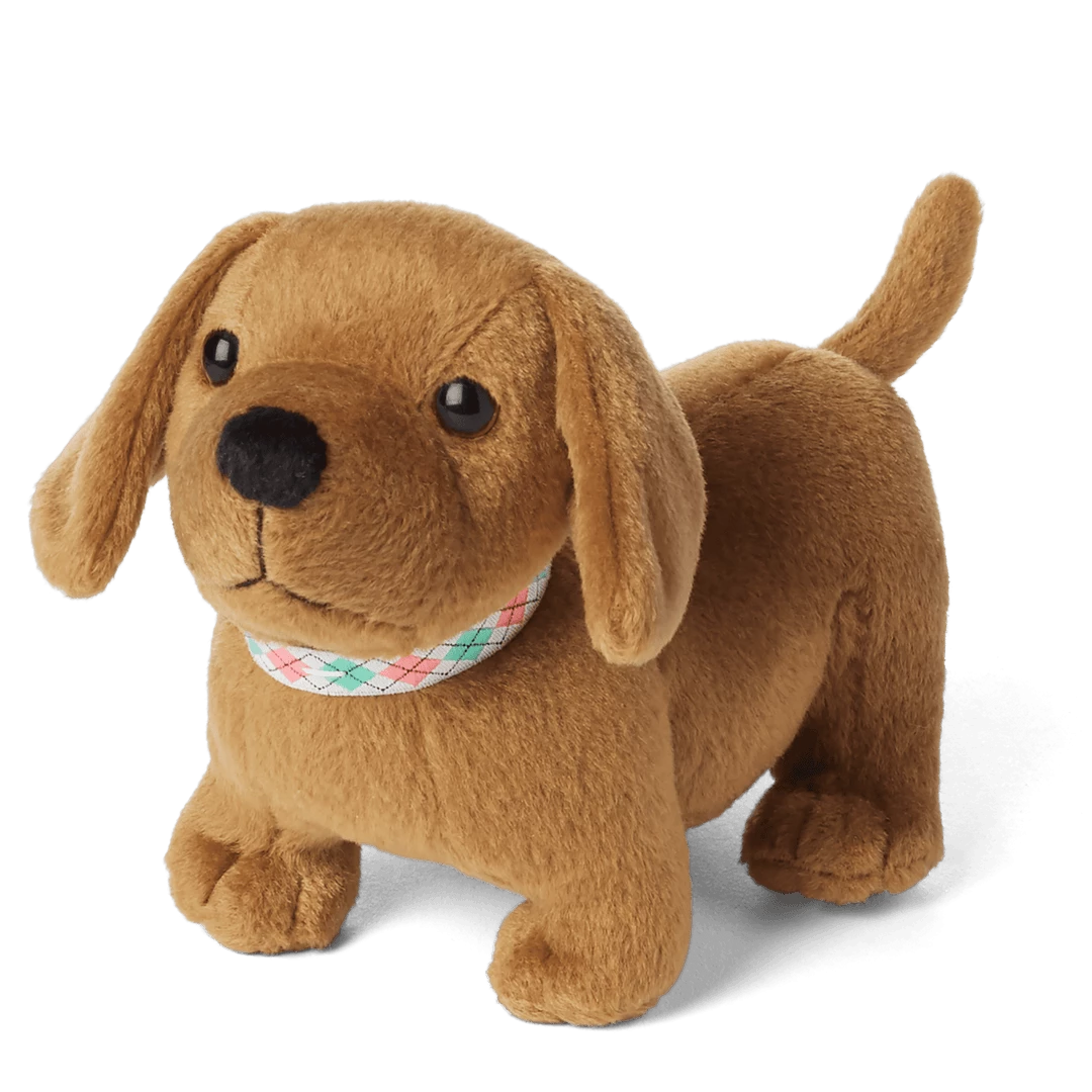 American Girl New Arrivals Maryellen’s™ Dachshund Pajamas & Dog 9 American Girl New Arrivals Maryellen’s™ Dachshund Pajamas & Dog
