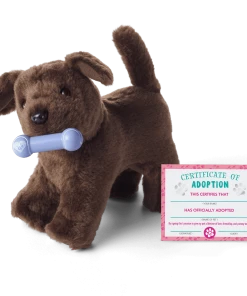 American Girl Chocolate Lab Puppy