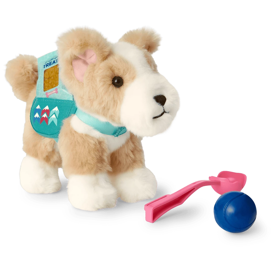 American Girl Corinne Tan™ Doll, Book, Accessories & Dog Best Sellers 10 American Girl Corinne Tan™ Doll, Book, Accessories & Dog Best Sellers