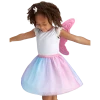 American Girl Colorful Butterfly Dress & Wings For Girls
