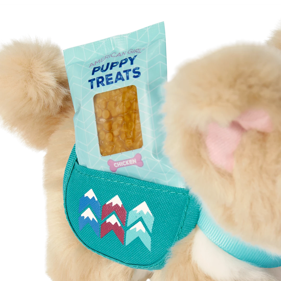 American Girl Corinne Tan™ Doll, Book, Accessories & Dog Best Sellers 13 American Girl Corinne Tan™ Doll, Book, Accessories & Dog Best Sellers